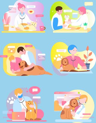 宠物看病宠物医院