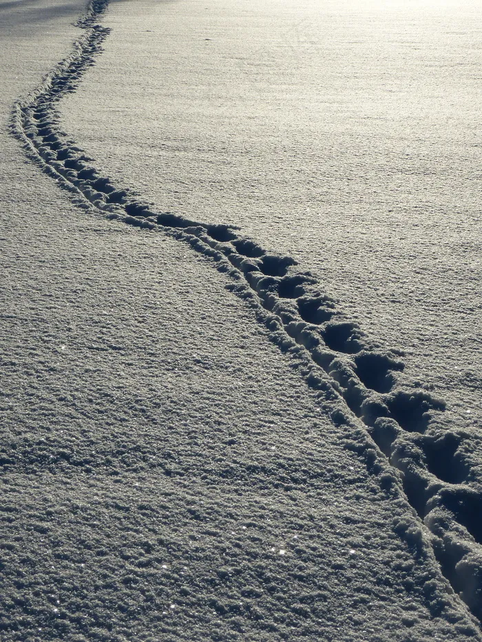 雪地脚印图片