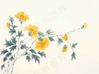 国风水墨画黄花枝条插画 