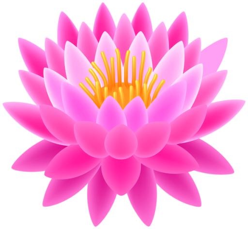 莲花 PNG免抠(600x554)