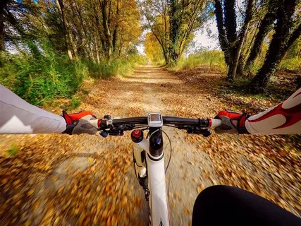 自行车户外骑行高清图片