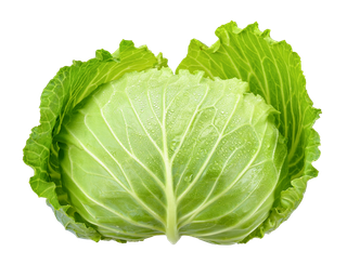 包菜 (9)超市商品白底图免抠实物摄影png格式图片透明底