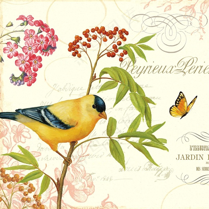 欧式花鸟装饰画