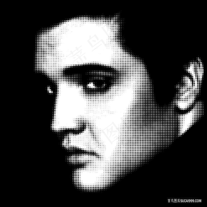 猫王波普黑白风格画