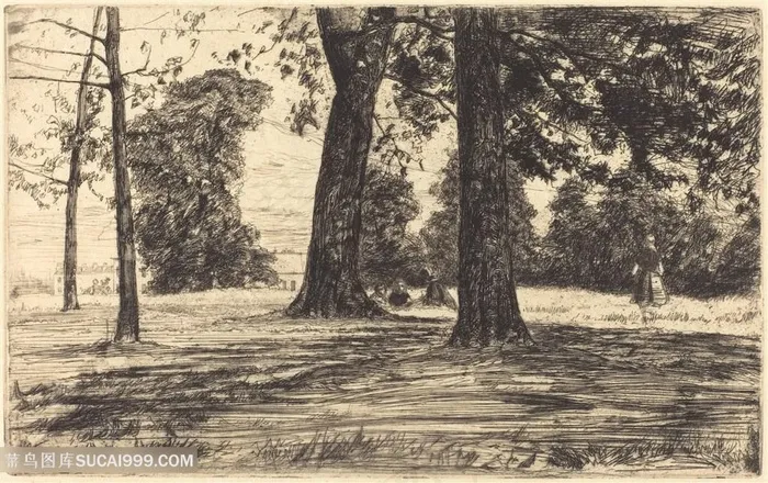 惠斯勒素描草地大树风景画