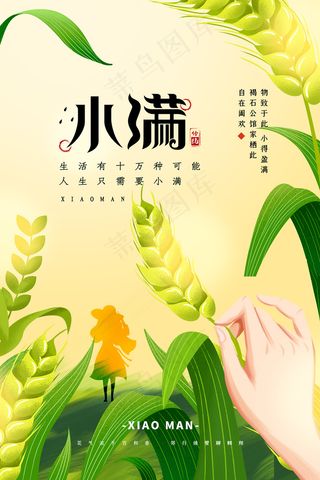 手绘24传统节气小满节日海报