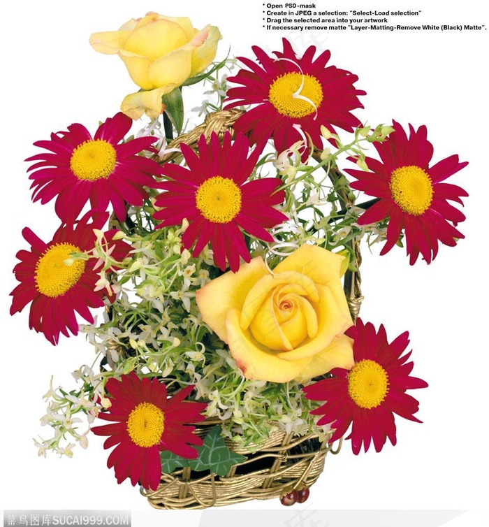 花艺花束-太阳花与红玫瑰