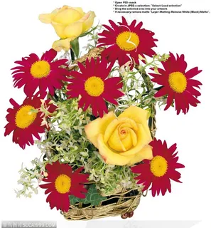 花艺花束-太阳花与红玫瑰