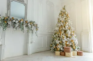 圣诞节圣诞壁炉圣诞树室内场景(71)