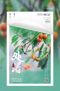 清新绿色柿子摄影图简约二十四节气处暑海报