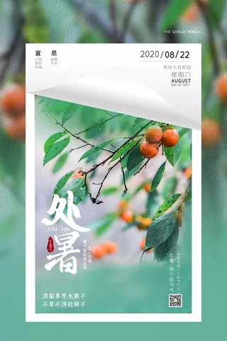 清新绿色柿子摄影图简约二十四节气处暑海报