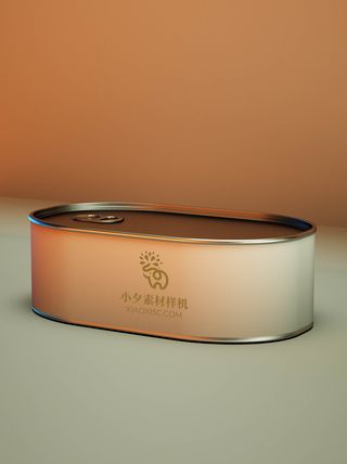 包装智能贴图样机VI效果PSD素材