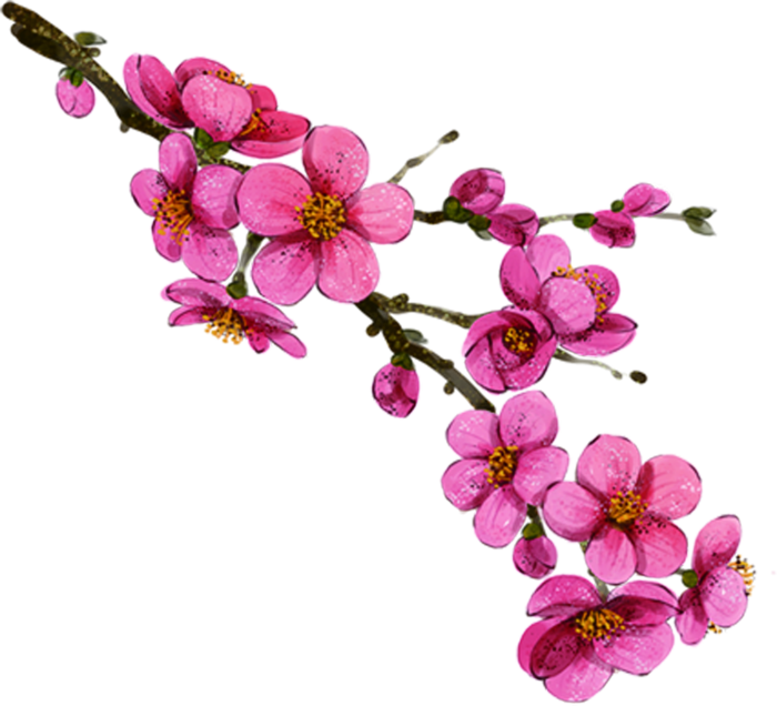 粉色简约风手绘鲜花花朵水墨画PNG素材图片 (43)