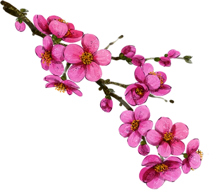 粉色简约风手绘鲜花花朵水墨画PNG素材图片 (43)