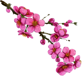 粉色简约风手绘鲜花花朵水墨画PNG素材图片 (43)