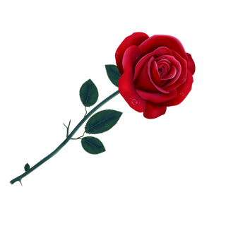 鲜花玫瑰免扣素材