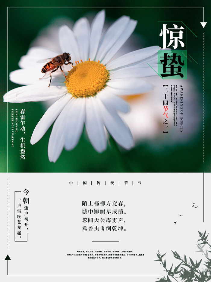 24二十四节气中国风创意惊蛰节日宣传海报模板PSD设计素材psd模版下载