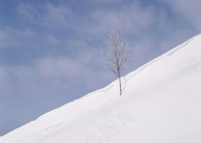 冰天雪地 313