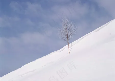 冰天雪地 313