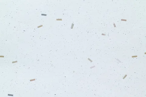 复古风信封花纹条纹横板图片背景素材PNG (102) 复古风信封花纹条纹横板图片背景素材PNG (102)