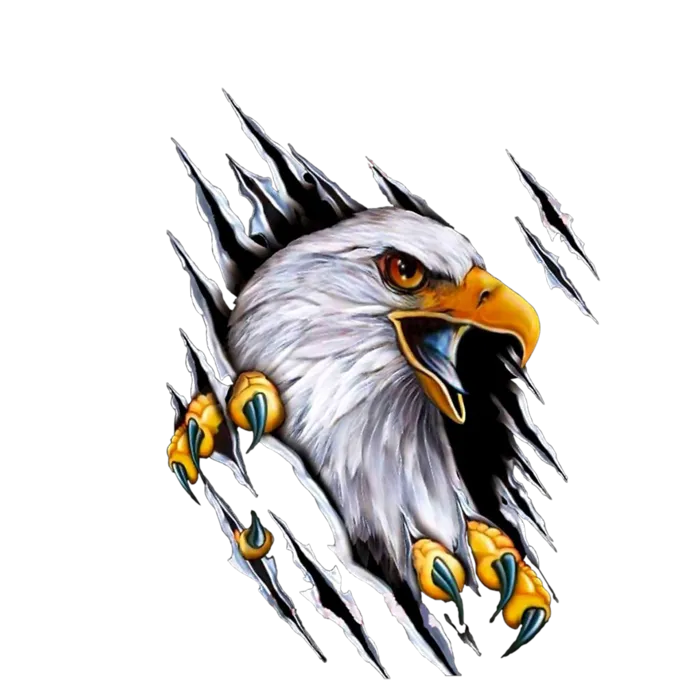 老鹰凶狠卡通