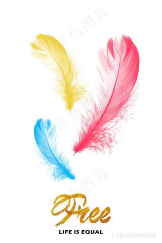 水彩羽毛时尚插画