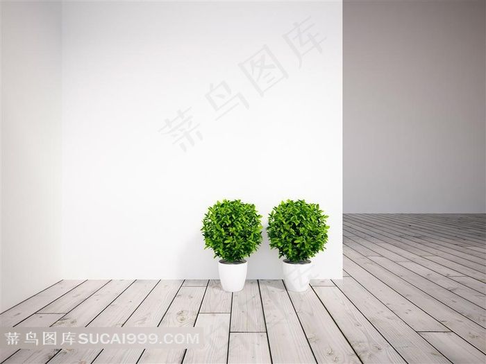 放在白墙边的两盆绿色植物摄影高清图片