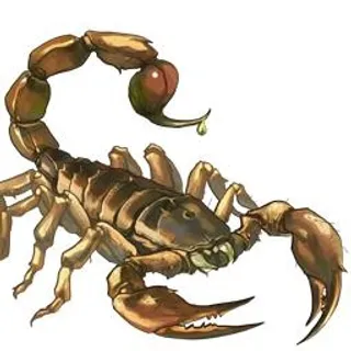 蝎子 PNG免抠