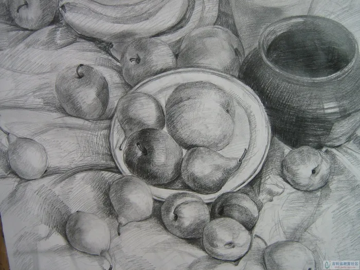 静物素描图片