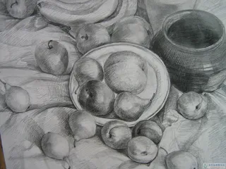 静物素描图片