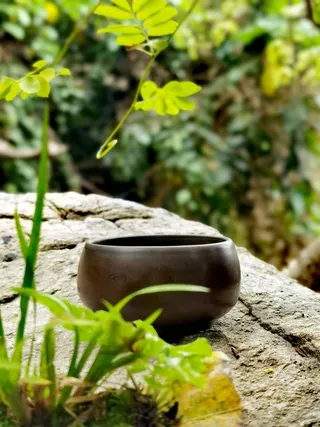 处暑户外山野徒步泡茶解暑