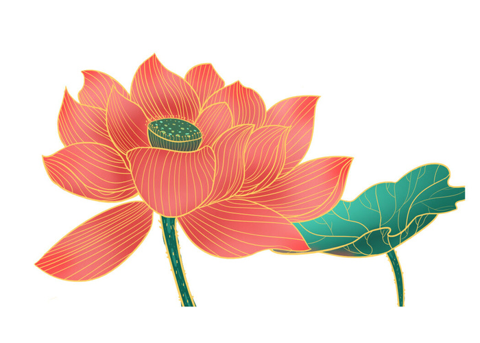 国潮中国风手绘荷花莲花荷叶莲藕植物花卉装饰插画PSD设计素材