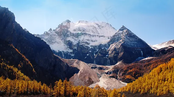 森林风景素材图片下载 森林风景素材图片下载