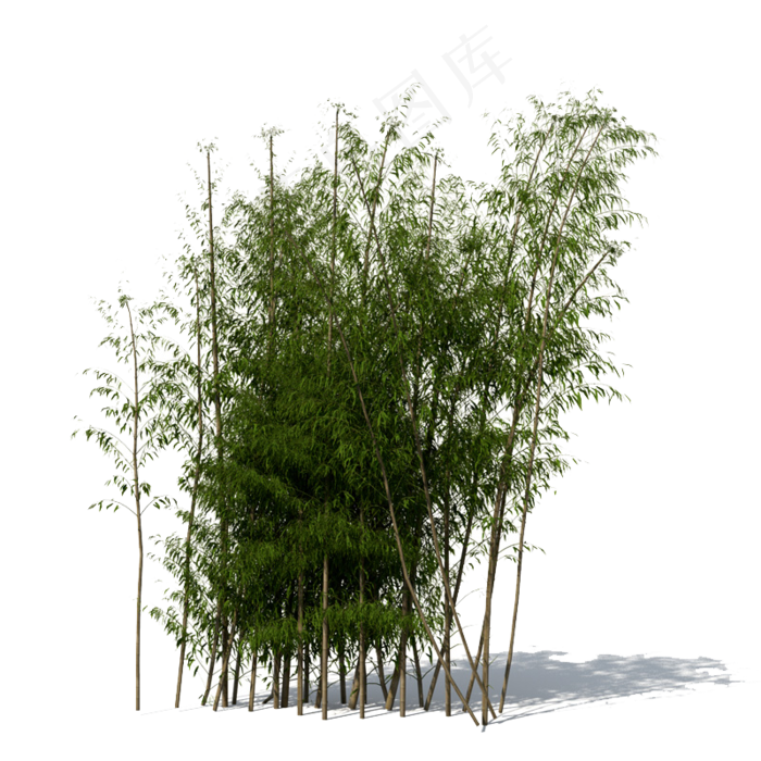 PNG 绿色竹子  