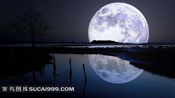 月球倒映个性夜景壁纸
