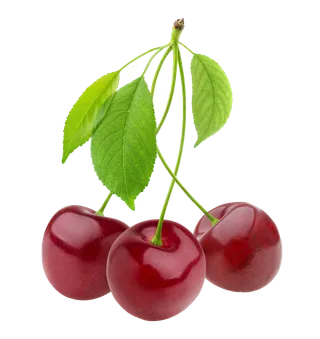 樱桃 (4)水果超市商品白底图免抠实物摄影png格式图片透明底