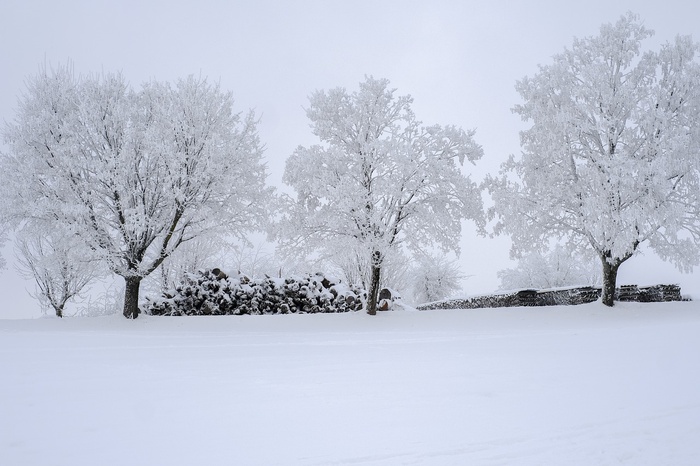 冬天白雪背景风景