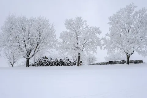 冬天白雪背景风景