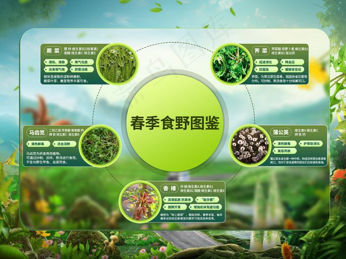 春季食野图鉴-展板psd模版下载