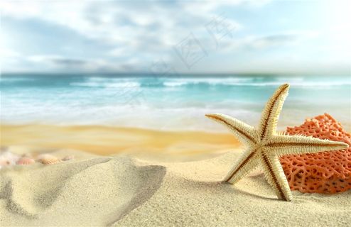 美丽的沙滩海滩景色