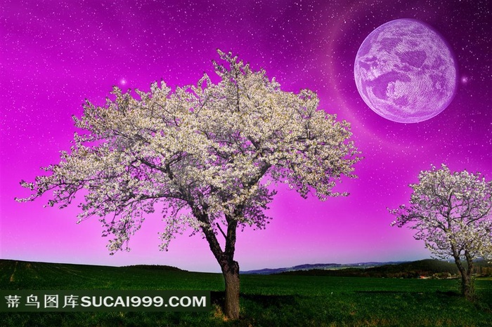 紫色天空圆月等超现实设计图片