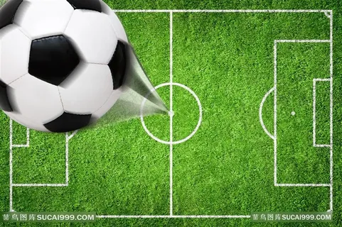 黑白足球和草地
