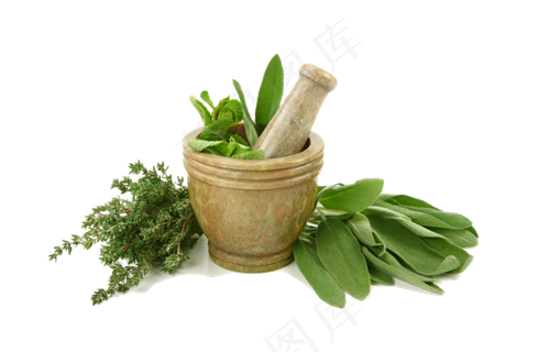 手绘草本中药药材