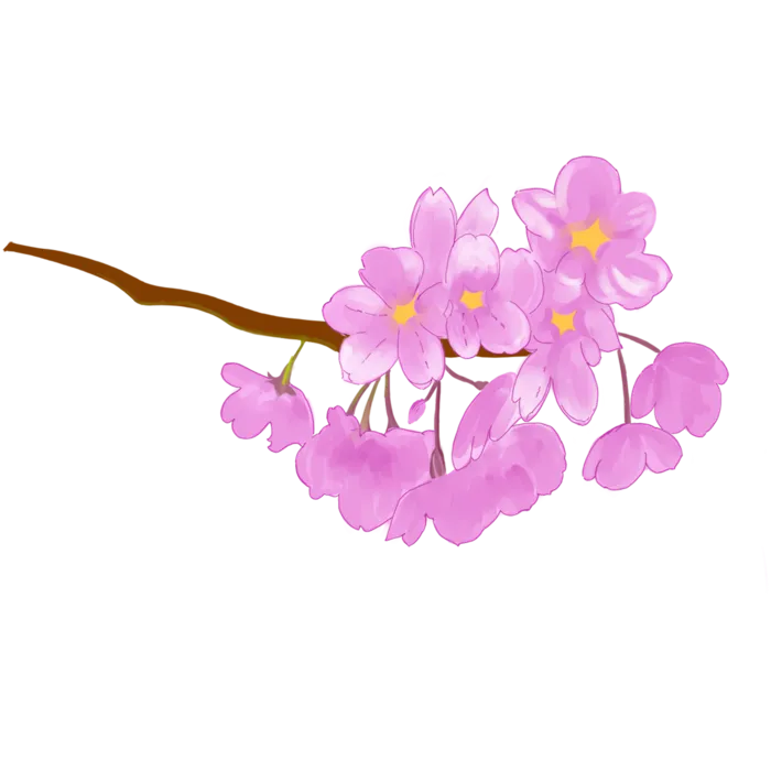春天浪漫粉红色樱花手绘樱花梅花桃花花朵图片PNG免扣素材