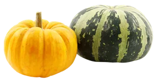 南瓜黄色绿色蔬菜
