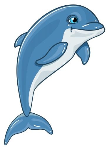 海豚 PNG免抠(364x500)