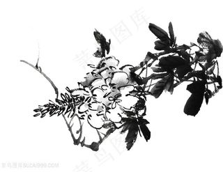 国画水墨花卉