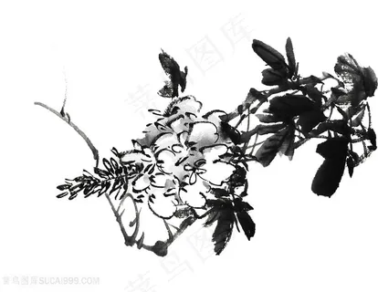 国画水墨花卉 国画水墨花卉