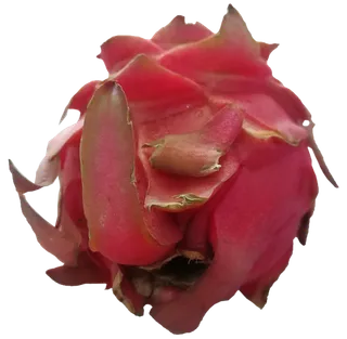 紫红新鲜火龙果免抠摄影元素素材