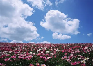 蔚蓝的天空干净图片素材